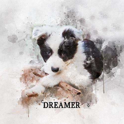 Unique Pet Canvas | Custom Pet Paintings on Canvas | Personalized Pet Portraits - FromPicToArt