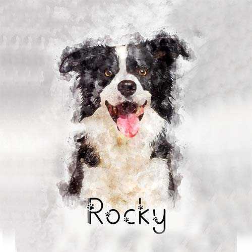 Unique Pet Canvas | Custom Pet Paintings on Canvas | Personalized Pet Portraits - FromPicToArt