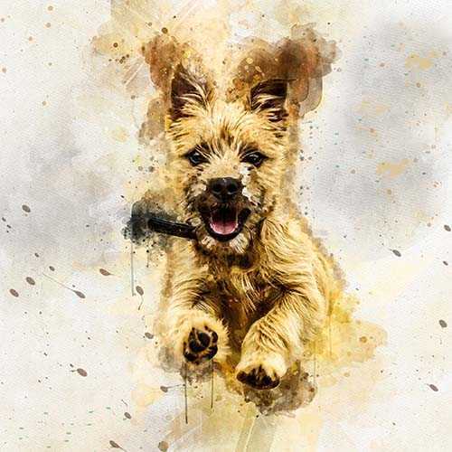 Unique Pet Canvas | Custom Pet Paintings on Canvas | Personalized Pet Portraits - FromPicToArt