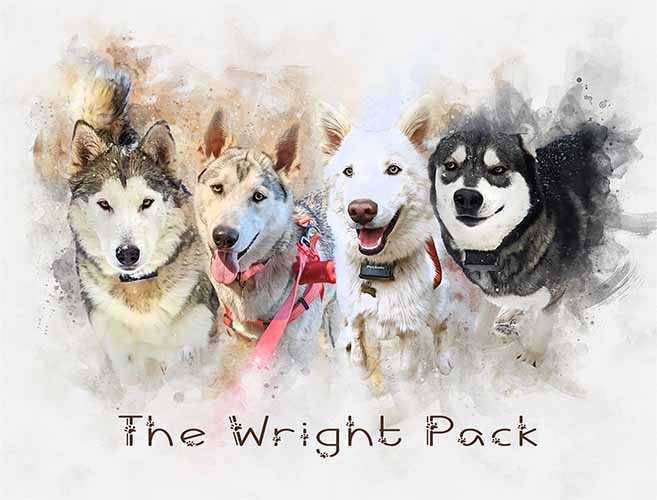 Unique Pet Canvas | Custom Pet Paintings on Canvas | Personalized Pet Portraits - FromPicToArt