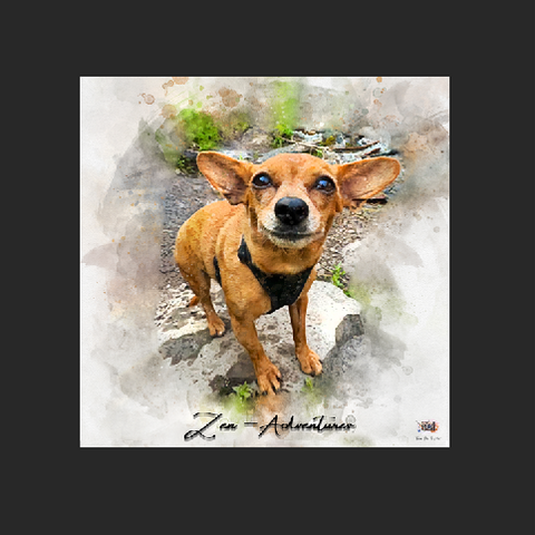 Unique Pet Canvas | Custom Pet Paintings on Canvas | Personalized Pet Portraits