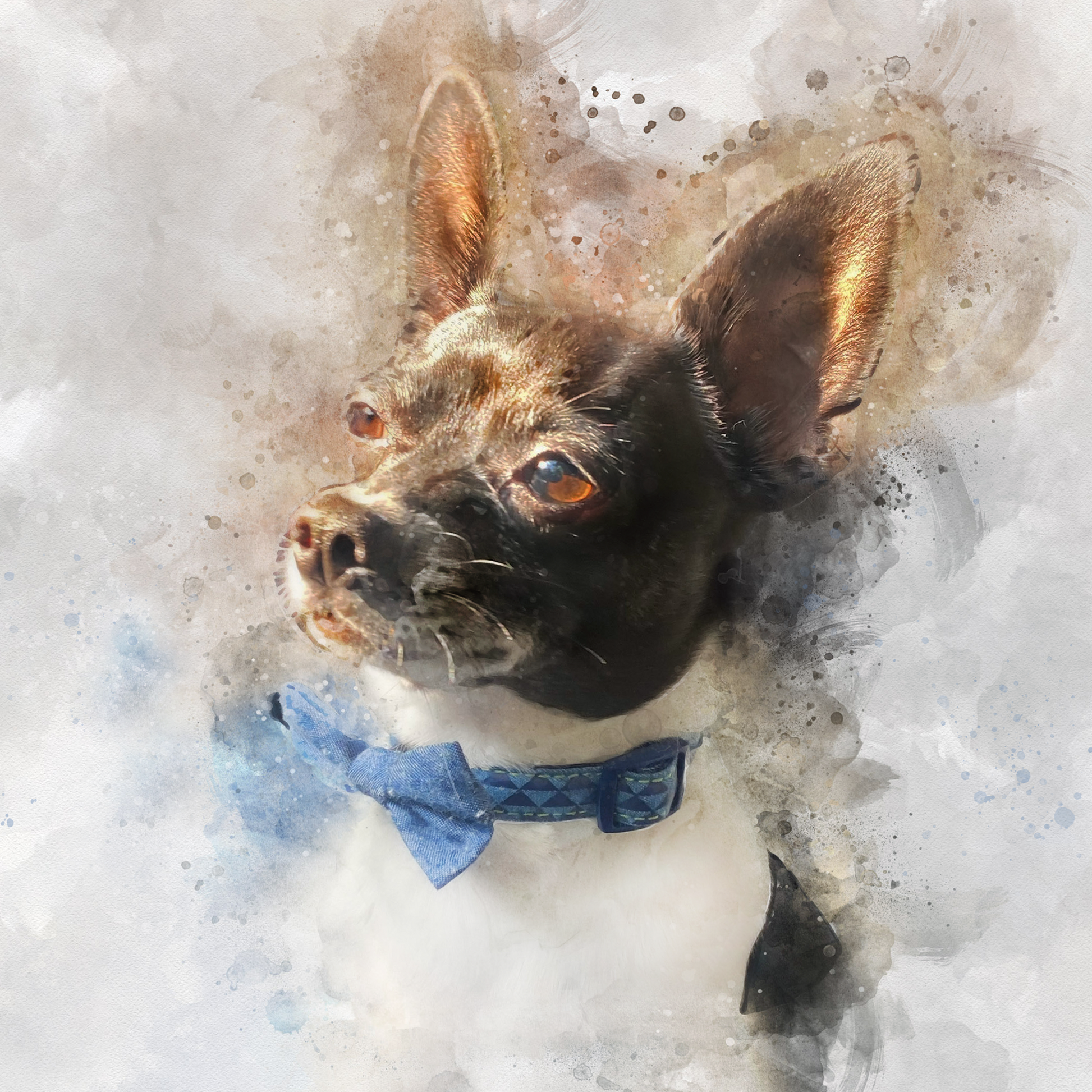 chihuahua_Dog_Painting_FromPicToArt