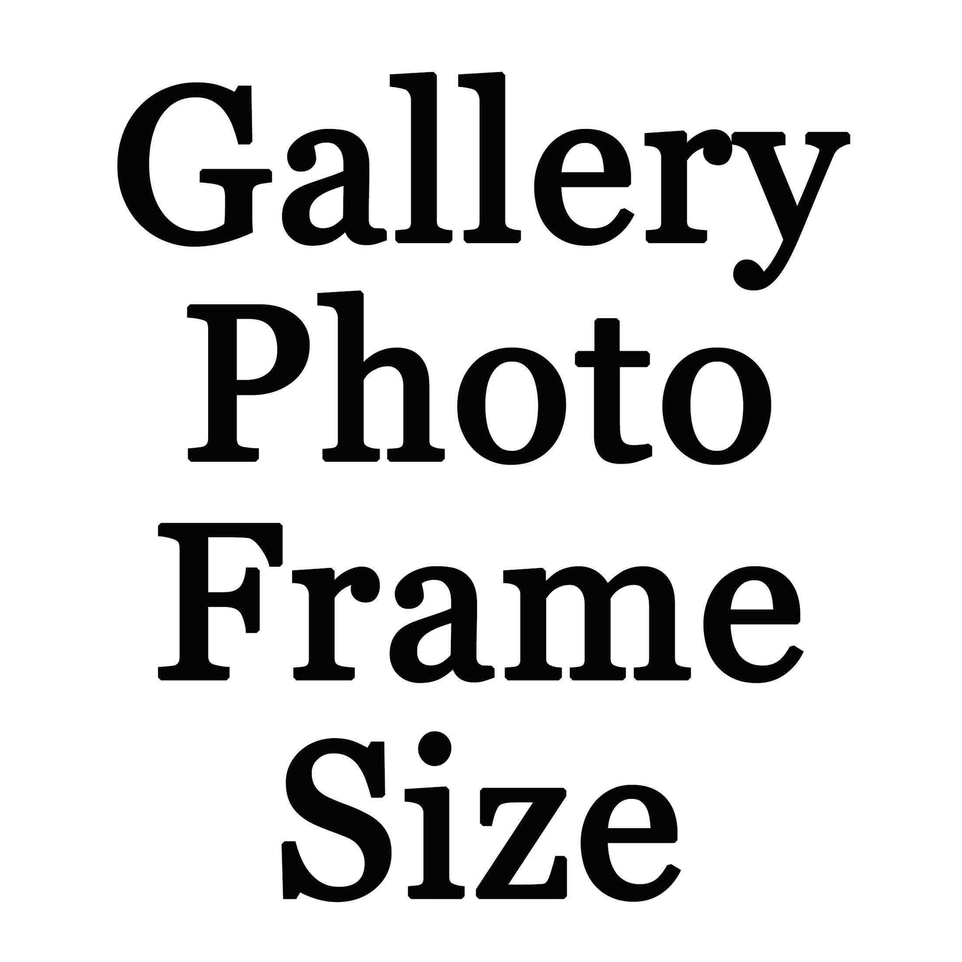 Gallery Photo Frame UPCHARGE for Size 12x16. This Option belongs to the Main Product. DON'T DELETE the Main Product or this Option if you want this Size - FromPicToArt